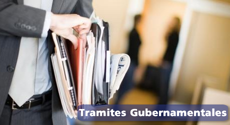 Servicios de Tramites gubernamentales